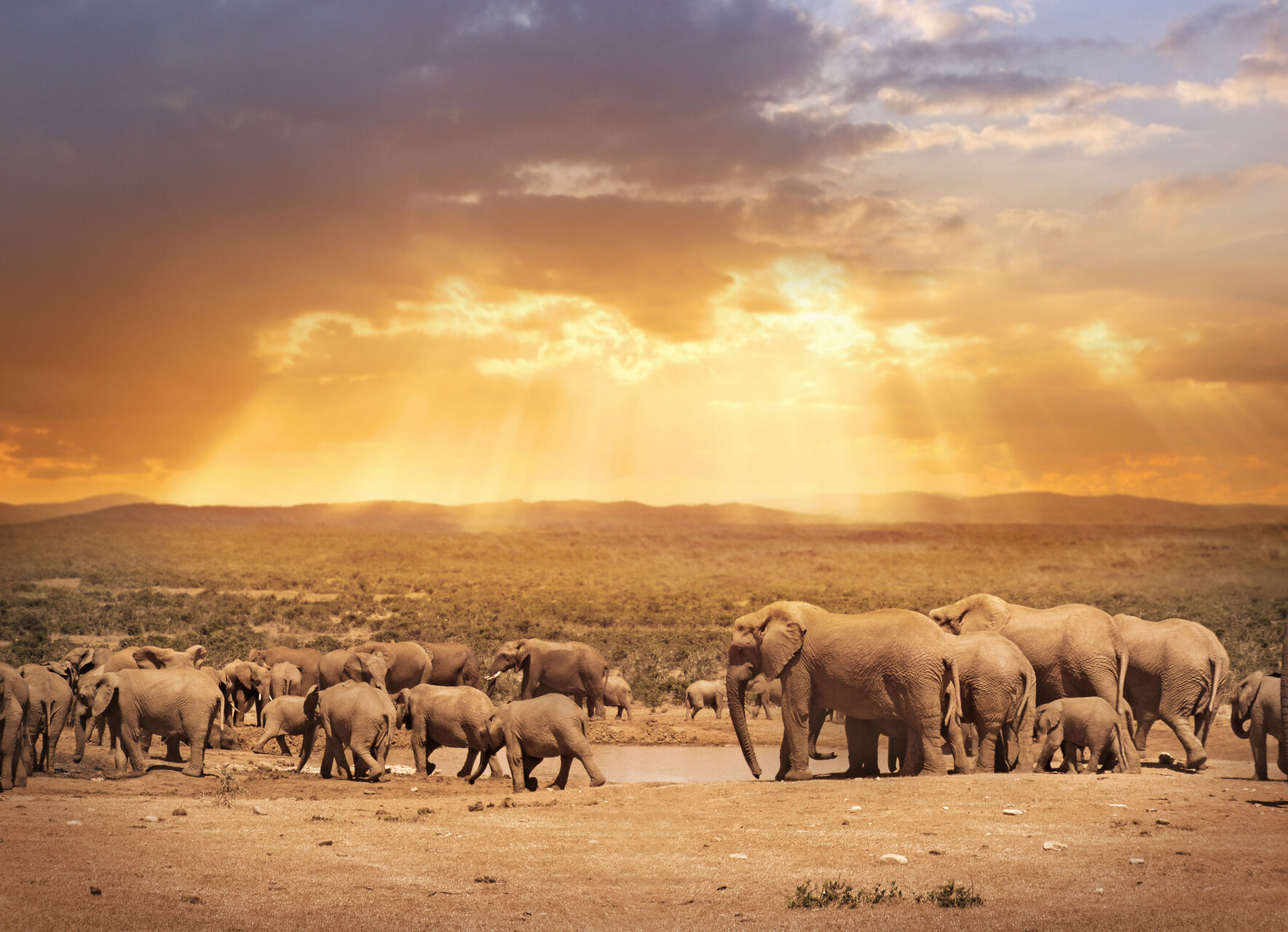 Port Elizabeth tours