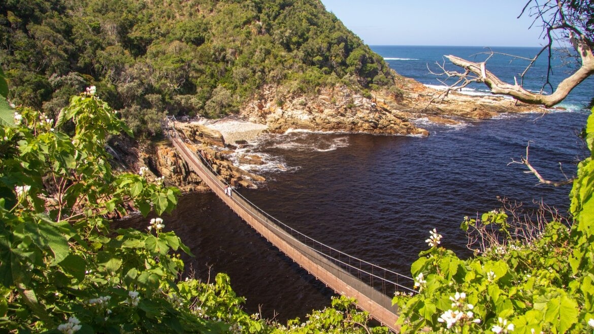 Garden Route 5-Day Self-Drive Explorer — Photo 2
