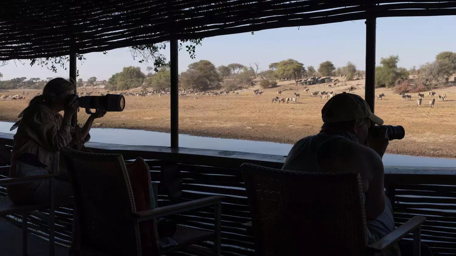 Digital Nomad Safari: How to Work Remotely from Africa's Best Lodges