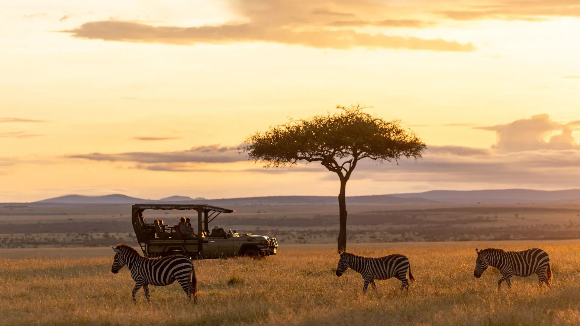 Shoulder Season Safari Guide: Best Value African Safari Timing
